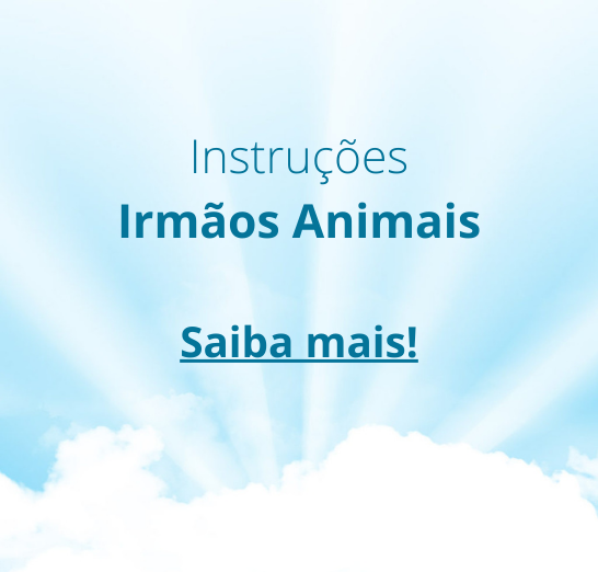 Instruções Irmãos Animais